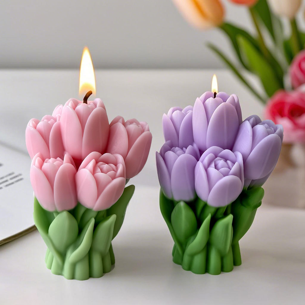 Regalo del Día de San Valentín - Soap Making Essentials reseña y precio